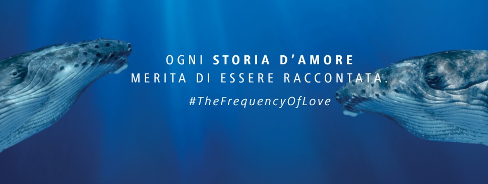 frequency of love